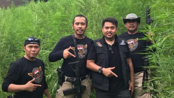 7 Hektare Ladang Ganja di Aceh Dibongkar BNN-Polri 7 Hektare Ladang Ganja di Aceh Dibongkar BNN-Polri