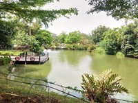 Danau di Allianz Ecopark Ancol Danau di Allianz Ecopark Ancol