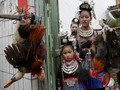 Kemeriahan Tradisi Tarik Kepala Ayam di China