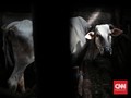 Kesepakatan RI-Australia Terganjal Persoalan Fiskal