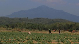 Reforma Agraria Jokowi-JK Dianggap Belum Jamin Kesejahteraan