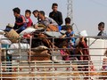 Irak Rebut Kirkuk, 100 Ribu Kurdi Kabur Hindari Persekusi