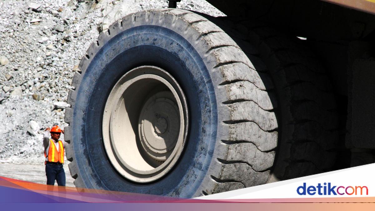 PTBA Bagikan Dividen Rp 601 Miliar