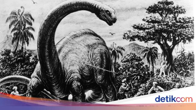 The 6 Most Horrible Extinctions in History, What Are They?