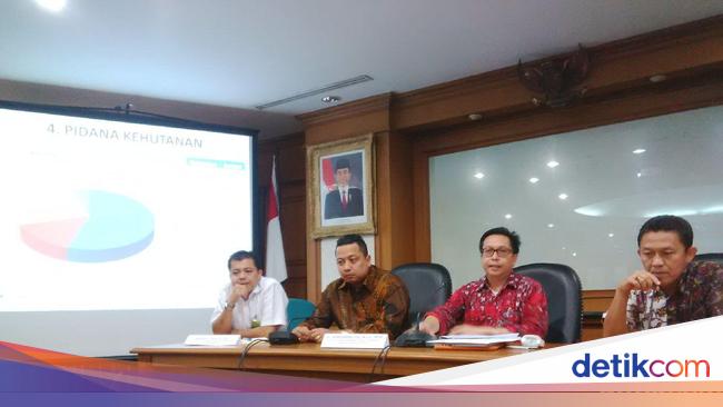 Ada 90 Kasus Pidana Kejahatan Kehutanan Sepanjang 2014 2015
