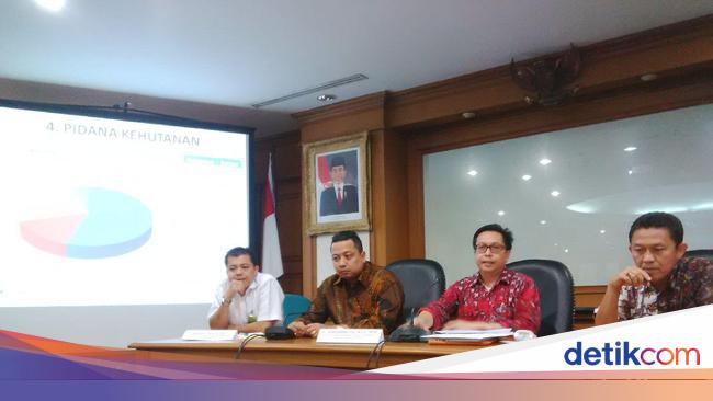 Ada 90 Kasus Pidana Kejahatan Kehutanan Sepanjang 2014 2015