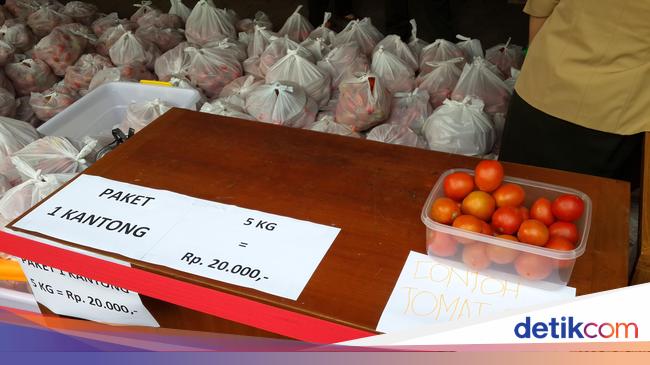 Kaya Manfaat Ayo Rutin Konsumsi Tomat Agar Tubuh Sehat