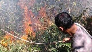 Kebakaran Gunung Lawu Makin Membesar, Merembet Hingga Wilayah Jawa Tengah