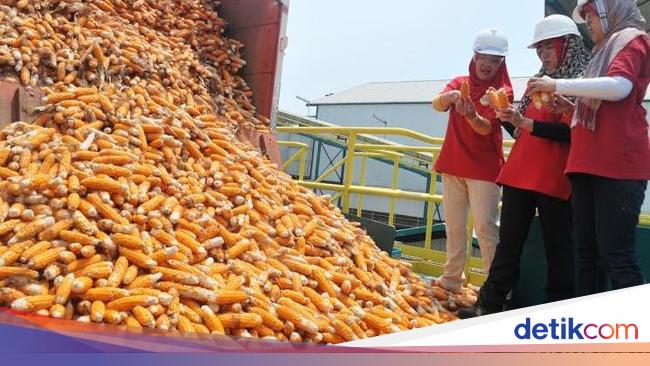 Terapkan Bioteknologi Solusi Tingkatkan Produksi Pangan