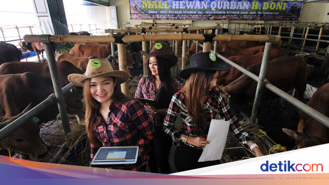 Cerita SPG Cantik Juwita 12 Jam di Kandang Sapi