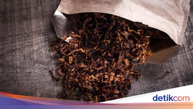 Tolak Rokok Kemasan Polos, Petani Teriak Harga Tembakau Bisa Anjlok