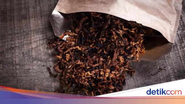 Tolak Rokok Kemasan Polos, Petani Teriak Harga Tembakau Bisa Anjlok