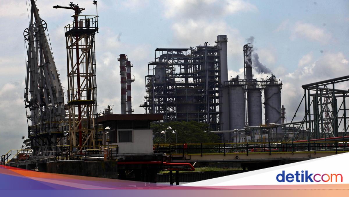 Kilang Olah Minyak Jelantah Jadi Bioavtur Mau Dibangun, Butuh Rp 19 Triliun