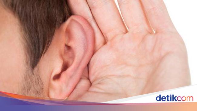 Kenali Begini Cara Telinga Menangkap Dan Mengantar Suara Ke Otak