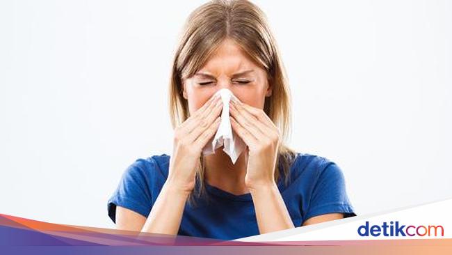 Hidung Selalu Beringus Sinus Atau Alergi