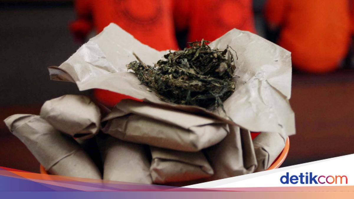 Polres Serang Tangkap 3 Bandar Narkoba, Jual Ganja via Medsos
