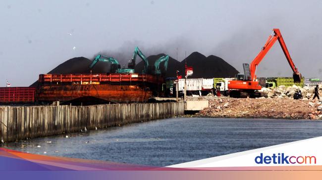 Daftar 5 Perusahaan Raksasa Batu Bara Di Kalsel