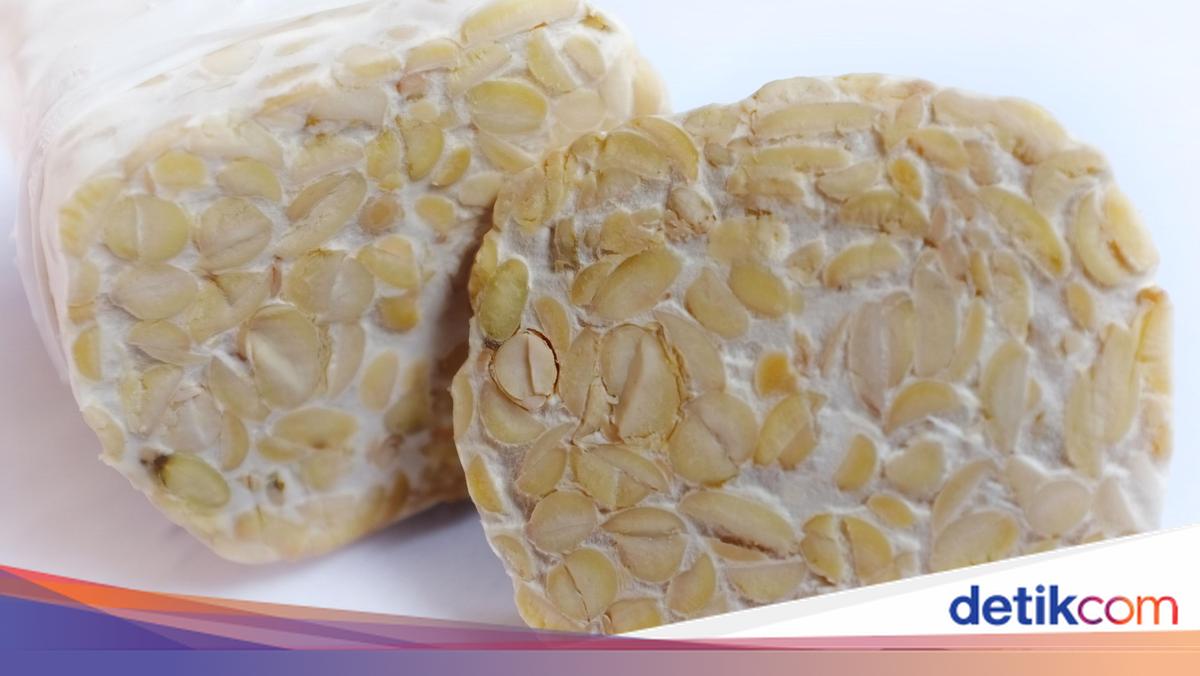 Langkah Fermentasi Tempe dan Hal-hal yang Perlu Diperhatikan Membuatnya