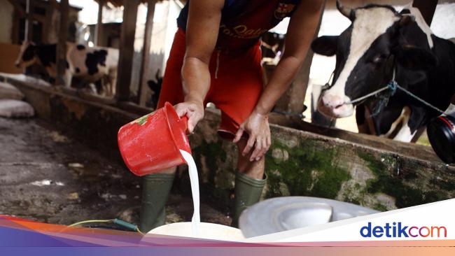 Bocoran Rencana Kerja Sama Timbal Balik Indonesia &amp; China