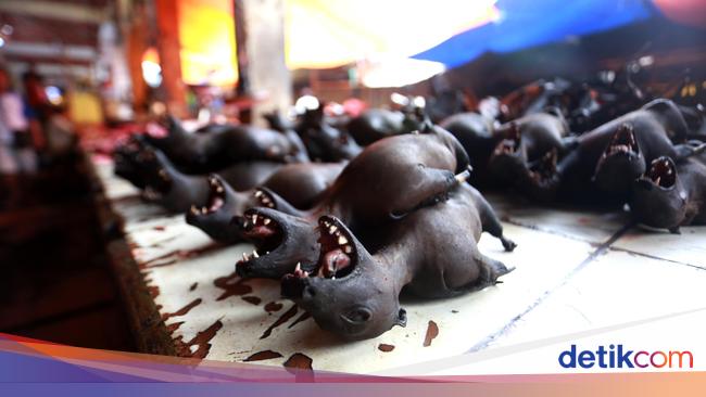 tempat wisata di tomohon Foto Anjing Hingga Ular Pun Dimakan di Tomohon tempat wisata di tomohon Foto Anjing Hingga Ular Pun Dimakan di Tomohon