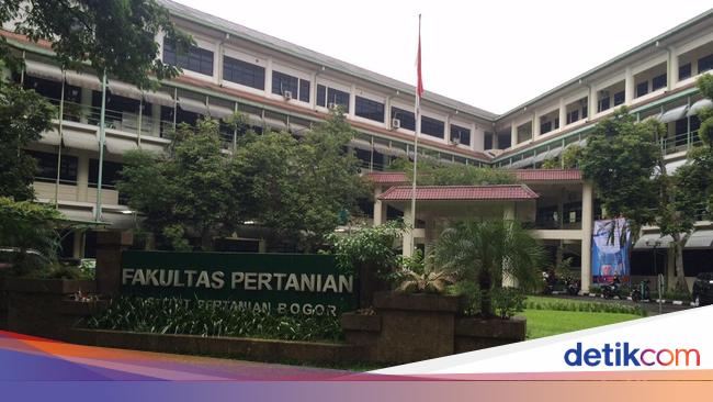 6 Informasi Seputar Ipb