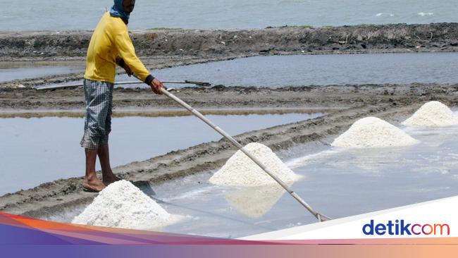 KKP Optimistis RI Swasembada Garam Tahun Depan, Begini Caranya