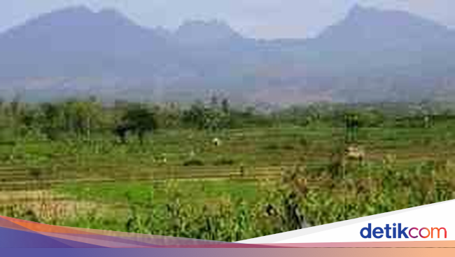 Sempat Tersesat di Gunung Wilis 22 Pendaki asal Blitar Sempat Tersesat di Gunung Wilis 22 Pendaki asal Blitar