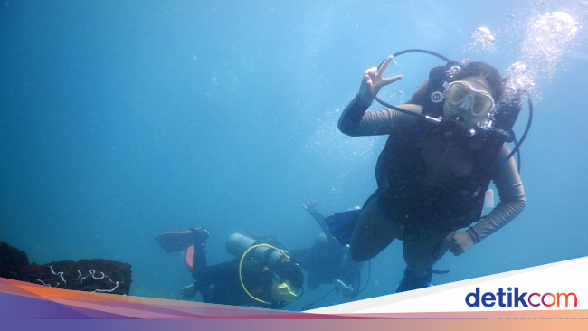 gemar menyelam dan surfing begini trik untuk cegah gemar menyelam dan surfing begini trik untuk cegah
