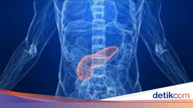 Duh Ternyata 6 Kebiasaan Sehari Hari Ini Membahayakan Pankreas