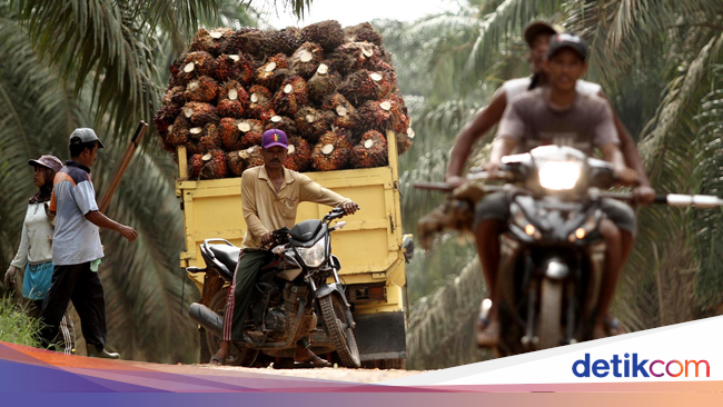 Pengelola dana valas di malaysia
