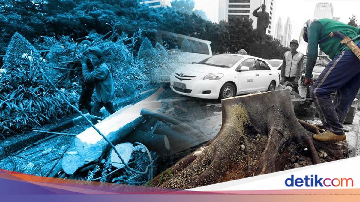 Pohon Tumbang di Kemang Raya dan Pakubuwono Jaksel Akibat Hujan Angin