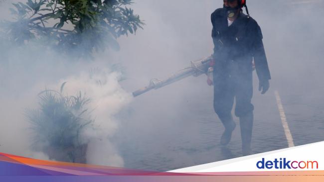 Dengue Hemorrhagic Fever Cases on the Rise in Ciamis Regency, West Java