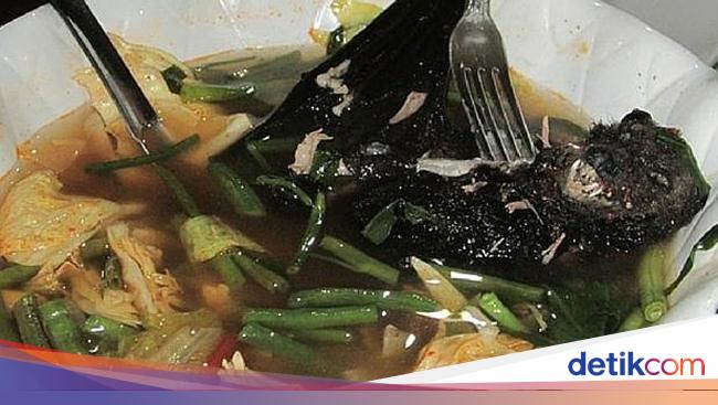 Surat Al Maidah Ayat 3 Atur Makanan Halal Dan Haram Sup Kelelawar Masuk Yang Mana Surat Al Maidah Ayat 3 Atur Makanan Halal Dan Haram Sup Kelelawar Masuk Yang Mana