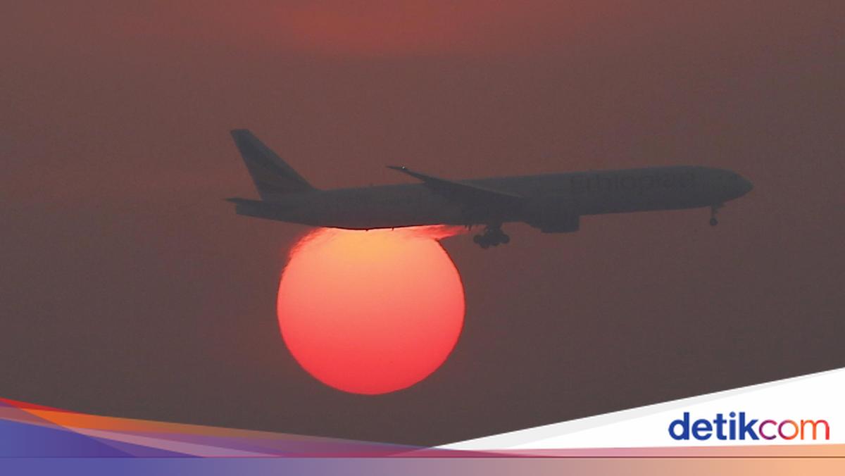 Salah Naik Pesawat United Airlines, Penumpang Terdampar di Jepang