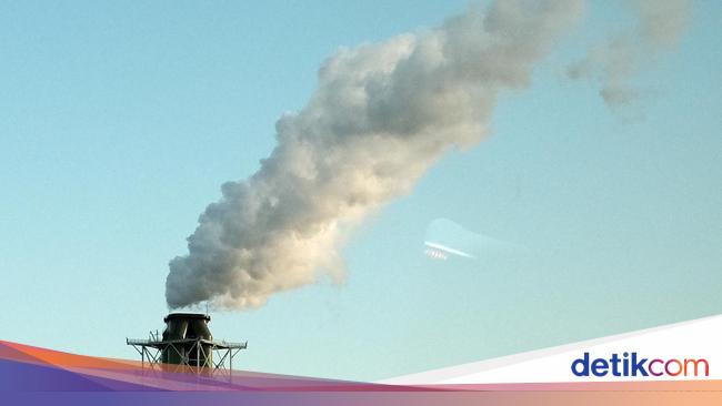 Pelonggaran TKDN Bisa Jadi 'Misi Bunuh Diri', Pengamat Ingatkan Hal Ini