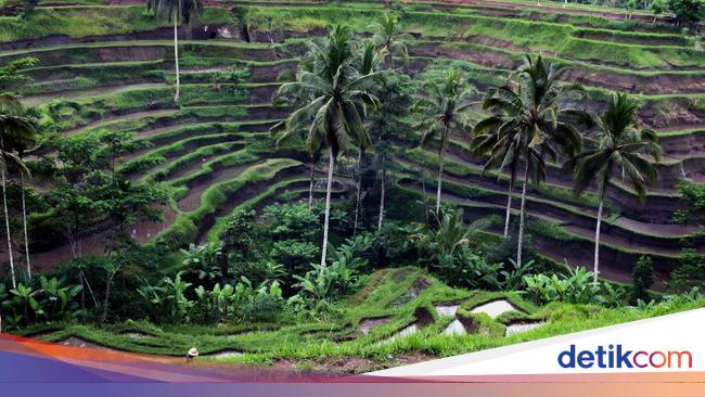 Kondisi  Alam  Wilayah Indonesia  dan Ciri  ciri  Khususnya  Kondisi  Alam  Wilayah Indonesia  dan Ciri  ciri  Khususnya