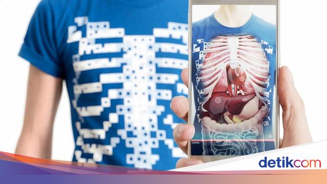 13 Sistem Anatomi Tubuh Manusia Dan Fungsinya