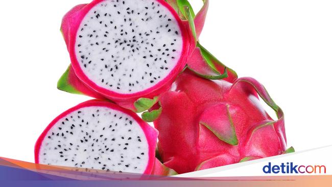 Cara Menanam Buah Naga di Pot agar Cepat Berbuah   Cara Menanam Buah Naga di Pot agar Cepat Berbuah
