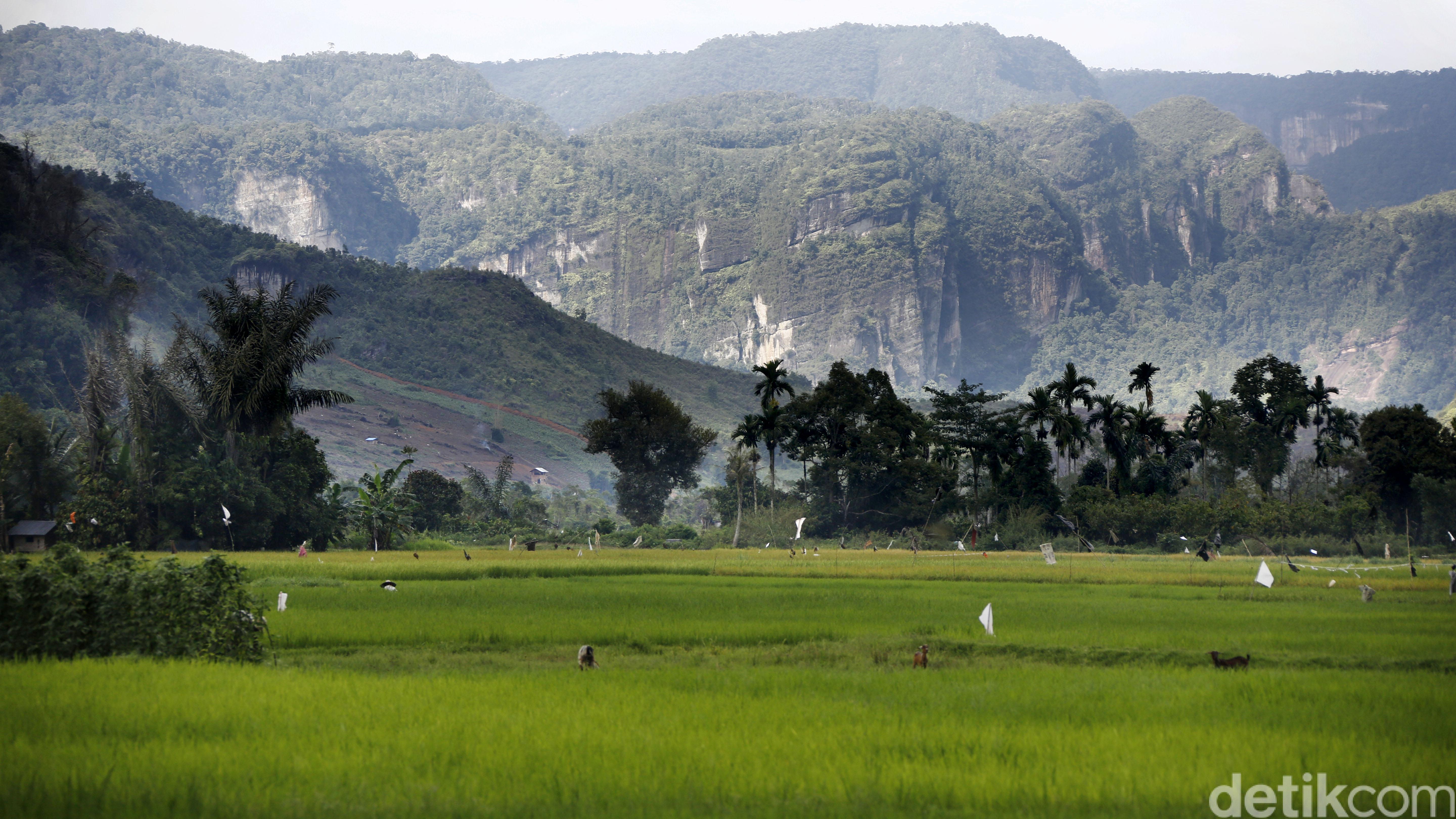 Menakar Potensi Dan Tantangan Petani Milenial Di Jawa Barat