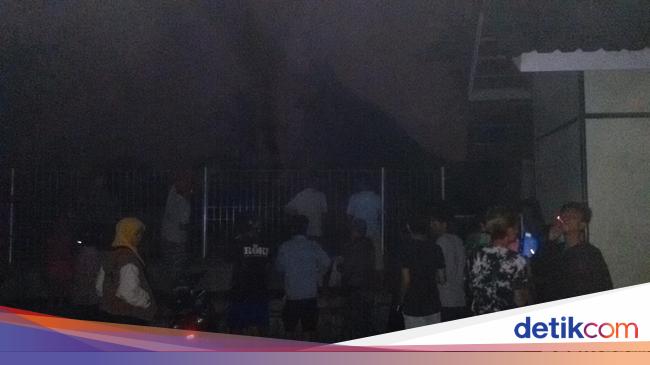 Dunia Binatang Trans 7 2 Orang Tewas Tertimpa Pohon Tumbang Kebun Binatang 