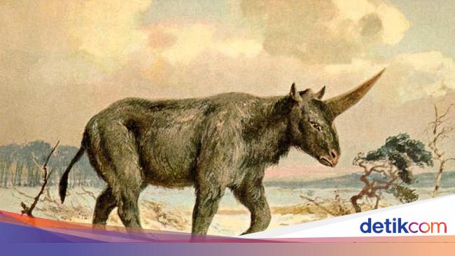 Hewan Bertanduk Satu Unicorn Benar Benar Pernah Hidup Di Dunia