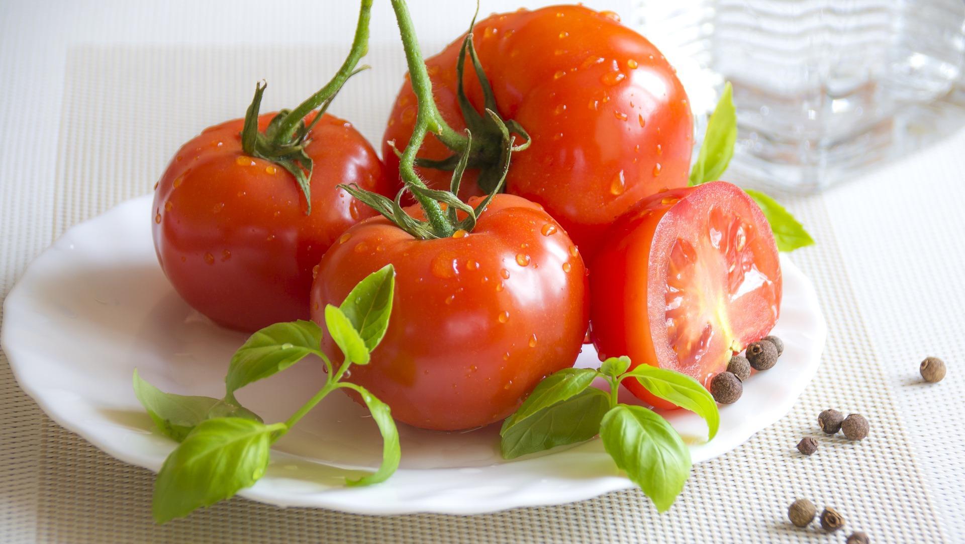 Tomat Termasuk Buah Atau Sayur? Ini Jawabannya