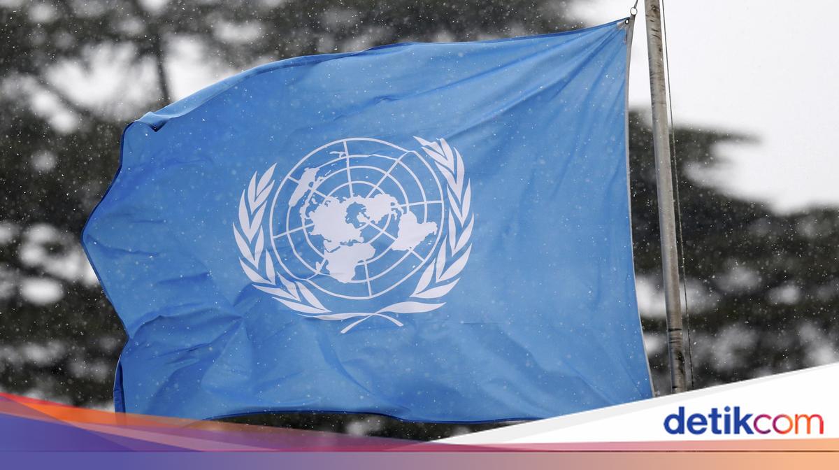 Pakar Bicara Peran RI Jika Jadi Presiden Dewan HAM PBB 2026
