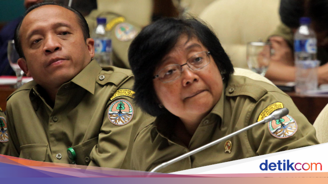 Menteri LHK: Soal SP3 Kasus Kebakaran Hutan Sudah 