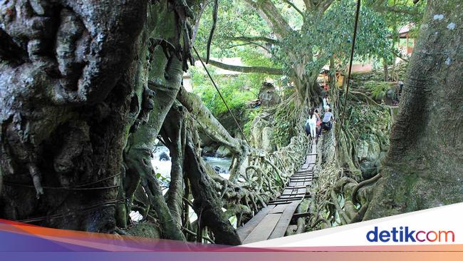 6 Fakta Jembatan Akar di Pesisir Selatan, Sumatera Barat