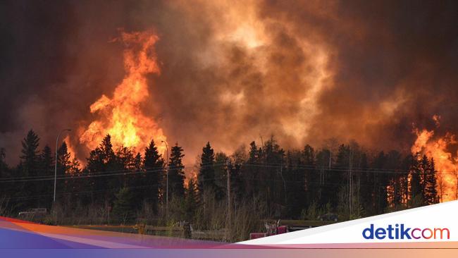 2.7 million hectares of forest in Canada burned throughout 2023