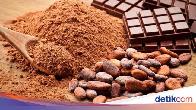 Ini Fakta Cokelat Di Indonesia Yang Perlu Kamu Tahu