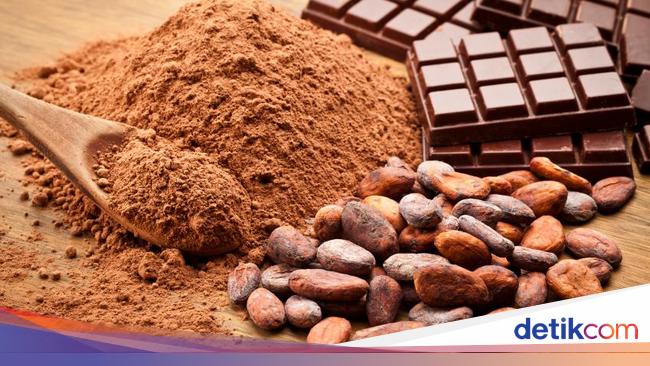 Ini Fakta Cokelat Di Indonesia Yang Perlu Kamu Tahu Ini Fakta Cokelat Di Indonesia Yang Perlu Kamu Tahu