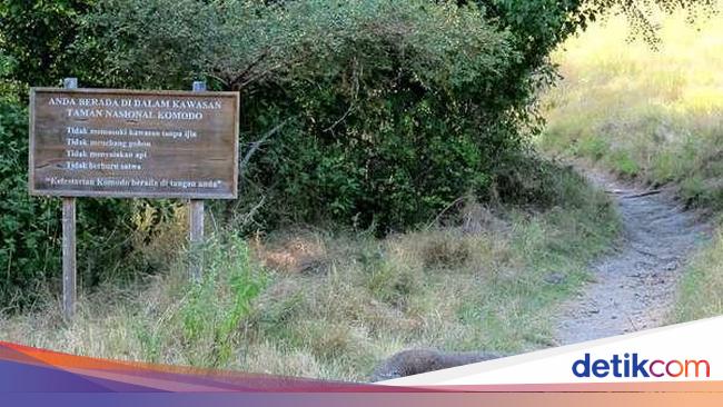 6 Hewan  Endemik  yang Jadi Maskot Taman Nasional Indonesia 