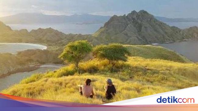 Pembangunan Ratusan Villa di Pulau Padar Ditolak Keras Pelaku Wisata!